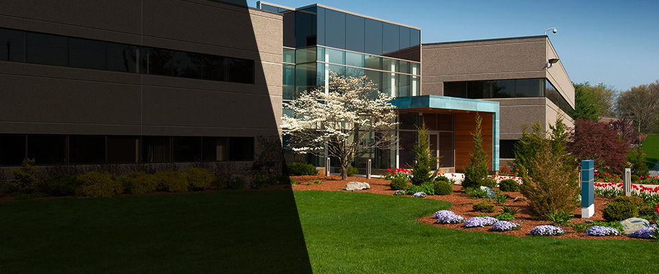 Allyn Landscapers