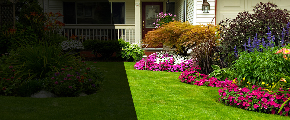 Allyn Landscapers