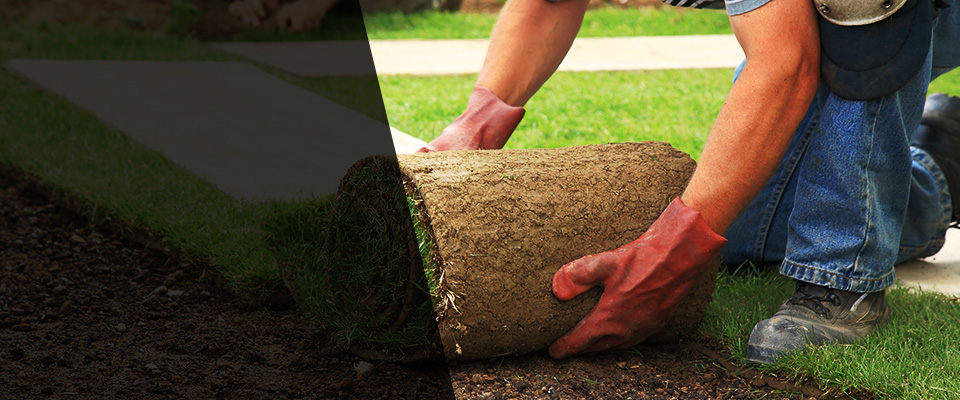 Allyn Landscapers